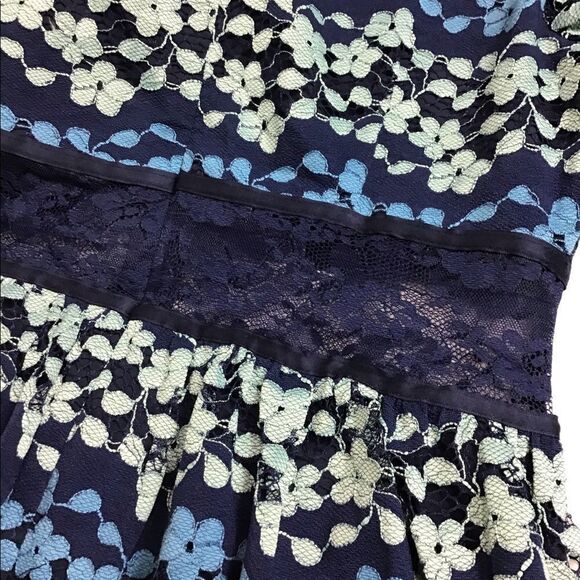 Dolly & Delicious Embroidered Lace Skater Dress - Picture 5 of 11